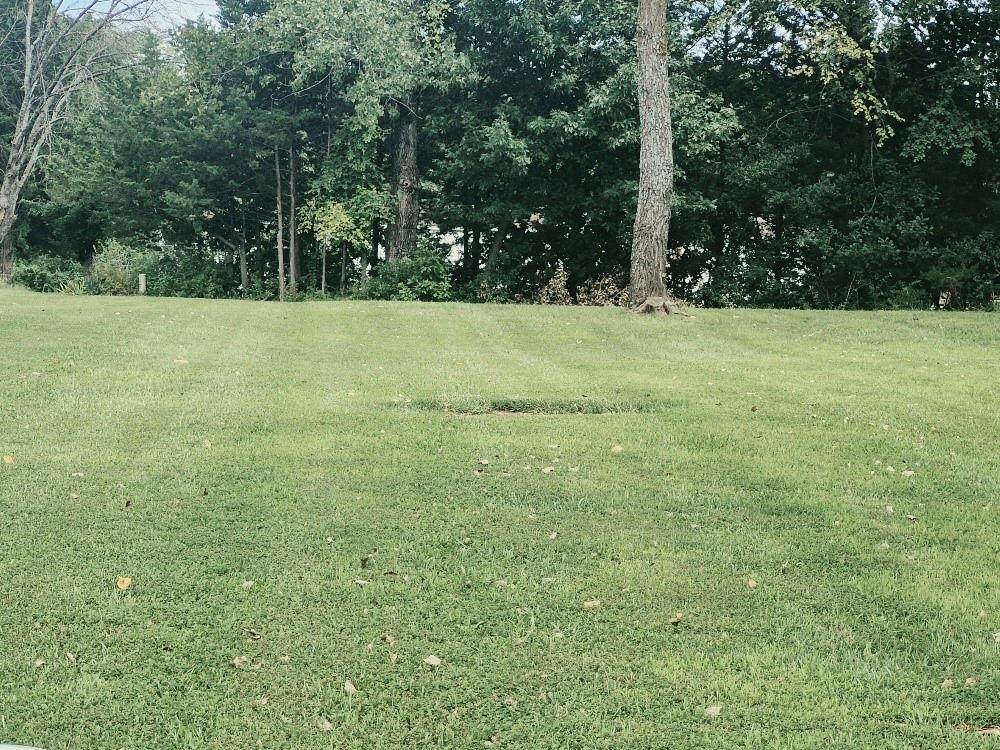 Lot 2242 Lake Viking Terrace - Photo 1