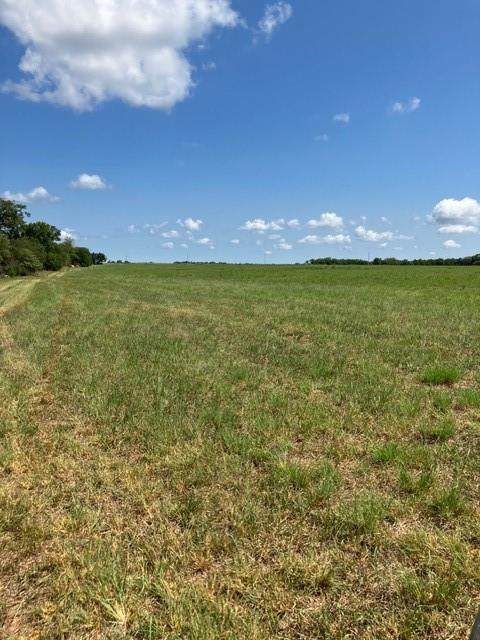 00000 Mills Road - Photo 1