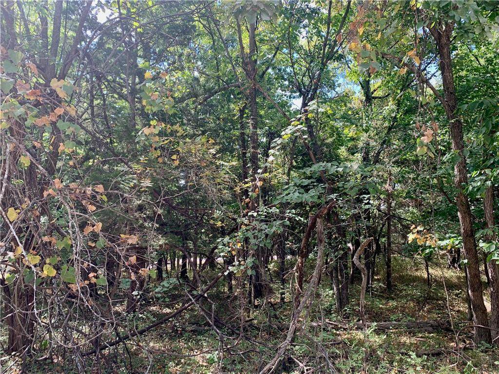 9 Enchanted Lane - Photo 1