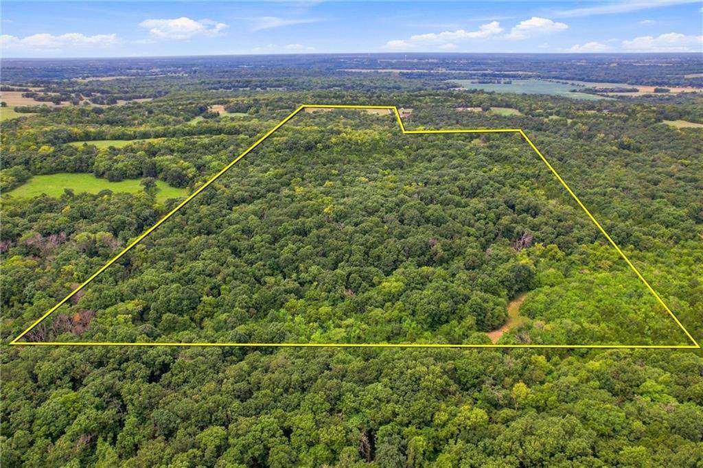 30405 Oak Grove Road - Photo 1