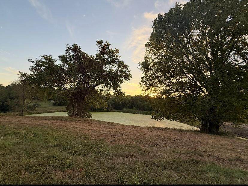 1551 Woods Chapel Road - Photo 1