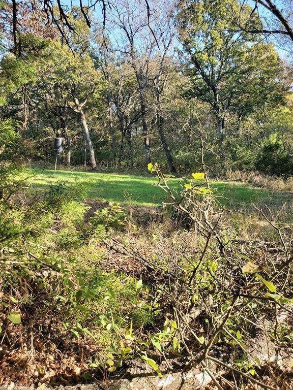 0 Hogback Road - Photo 1