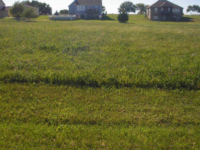 Lot # 64 Street - Photo 1