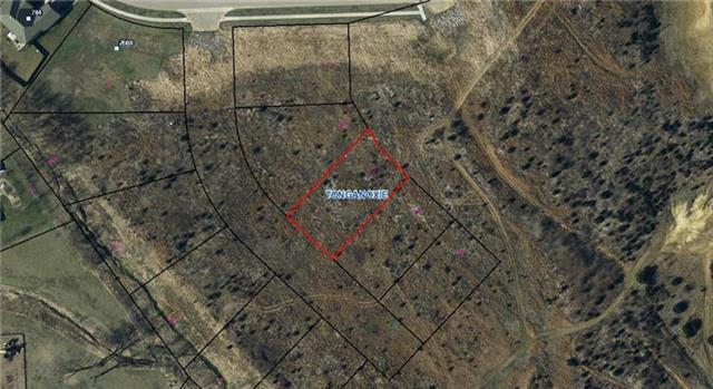 Lot 3 Shady Bend Drive - Photo 1