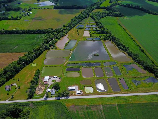 21305 Staley Mound Road - Photo 1