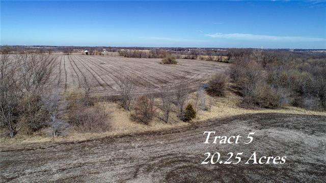 Tract5 Stringtown Road - Photo 1