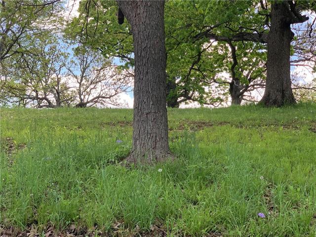 Lot 1070 Lake Viking Terrace - Photo 1
