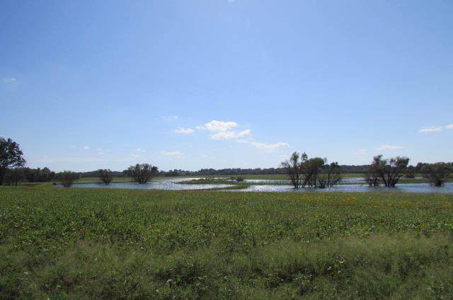 TBD Hwy T Highway - Photo 1