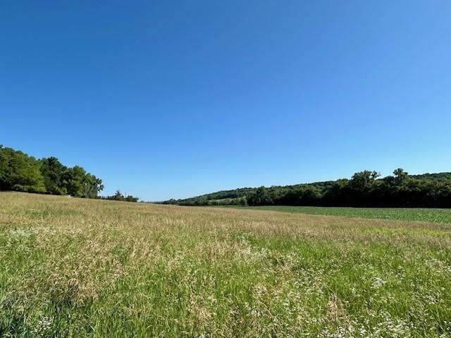 10.66 Acres M/L 800 Road - Photo 1