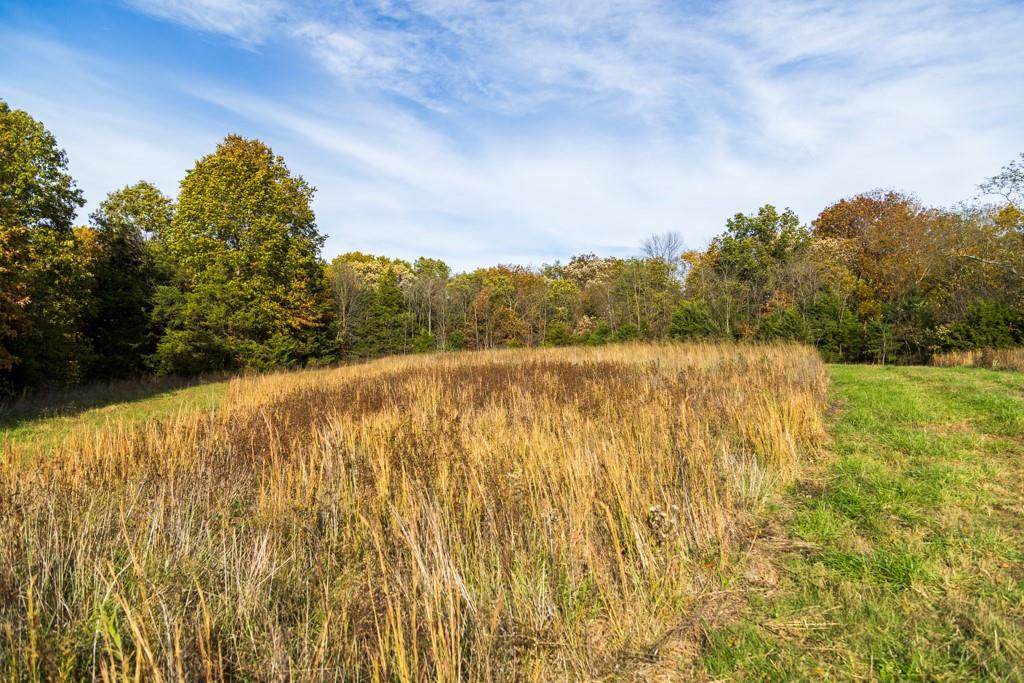 Tract A-1 651st Road - Photo 1