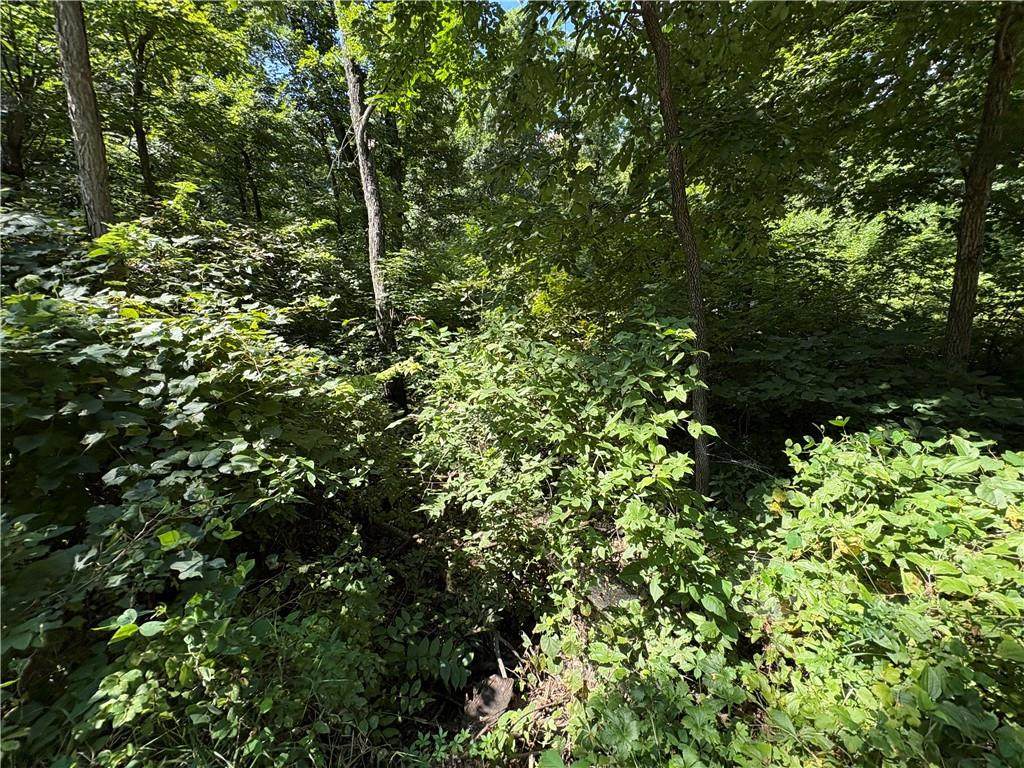 53,57,61 & 65 Locust Drive - Photo 1