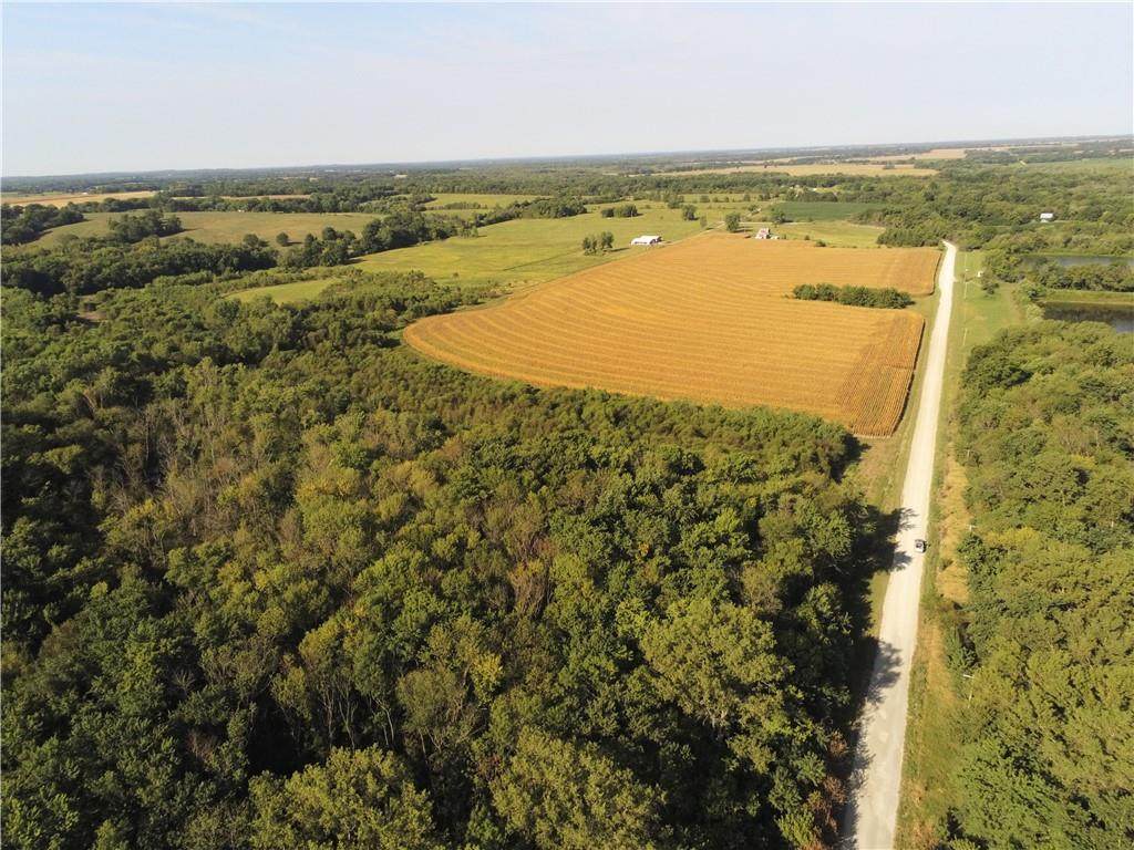 11000 Berry Bridge Avenue - Photo 1