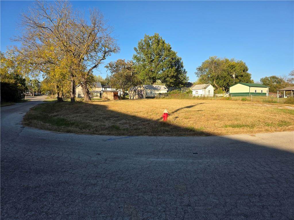 510 Chippewa Street - Photo 1