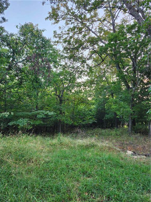 6 & 10 Live Oaks Drive - Photo 1