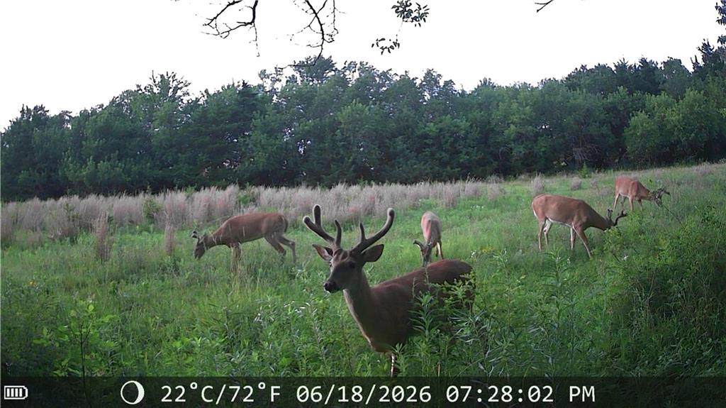 624 Ohio Road - Photo 1