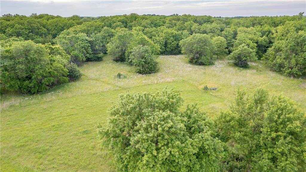 10189 Saddle Creek Lot 12 Drive - Photo 1