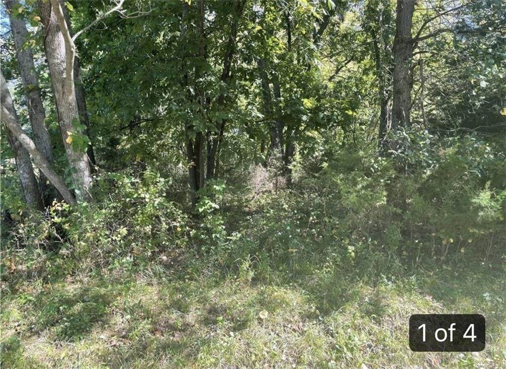 https://bt-photos.global.ssl.fastly.net/heartland/orig_boomver_2_2633346-1.jpg