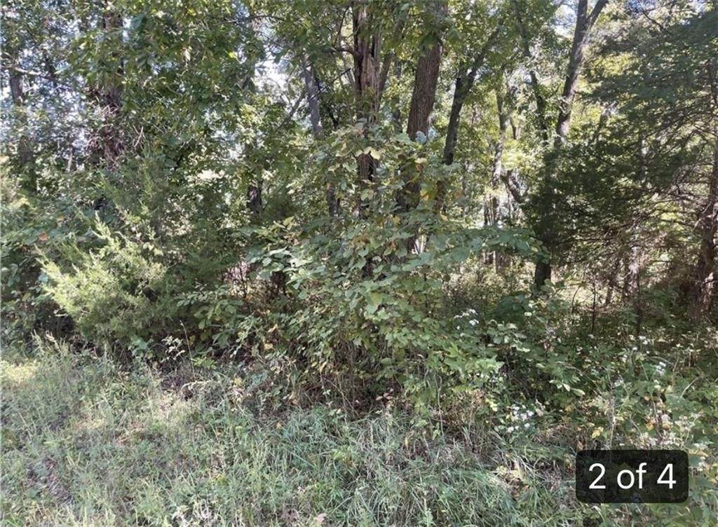 https://bt-photos.global.ssl.fastly.net/heartland/orig_boomver_2_2633346-1.jpg