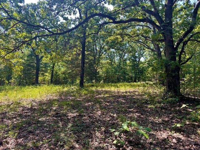 33001 Panther Way - Photo 1