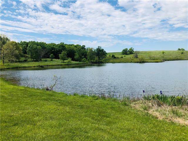 (907) 401st Road - Photo 1