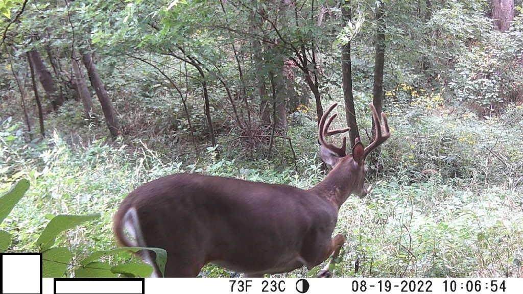 9960 Shach Creek Road - Photo 1