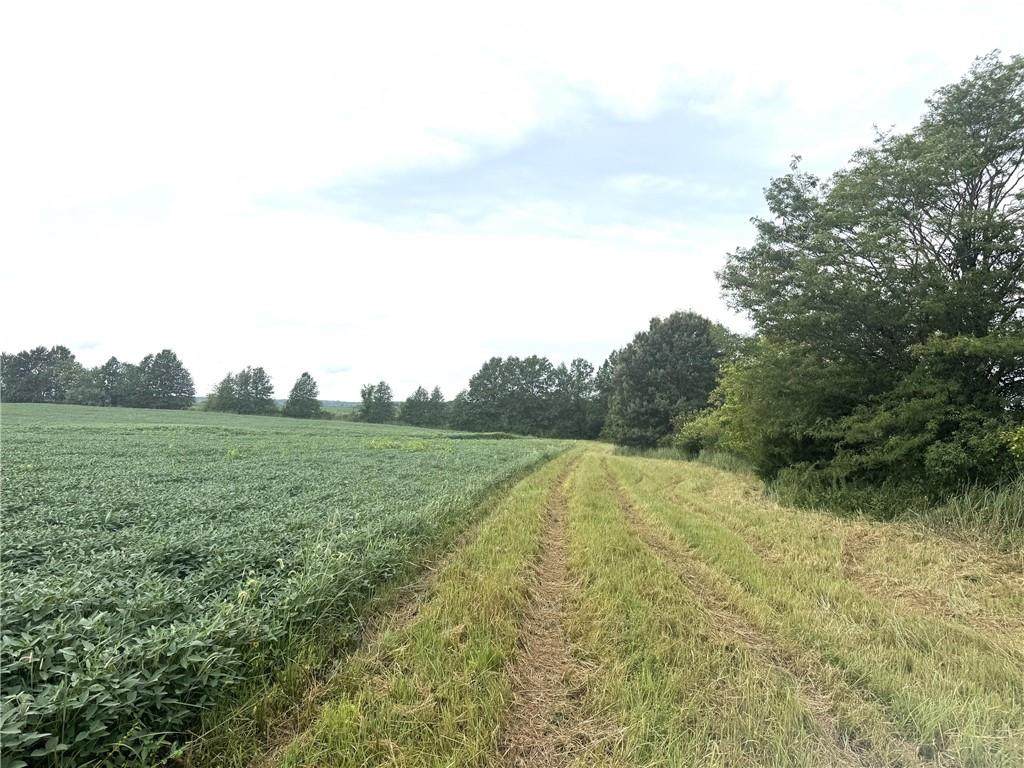 https://bt-photos.global.ssl.fastly.net/heartland/orig_boomver_3_2574170-1.jpg