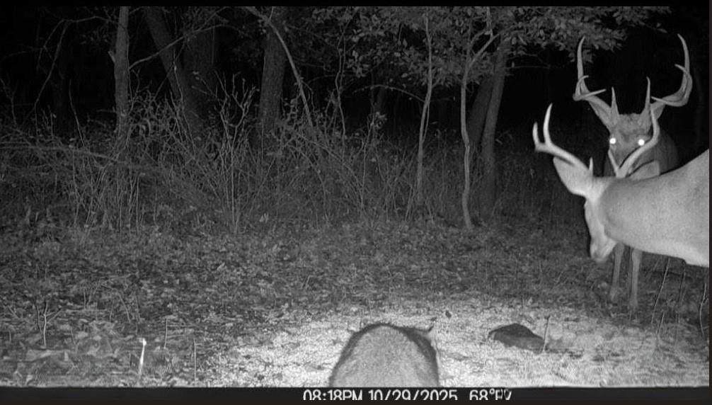 1013 2400th Street - Photo 1