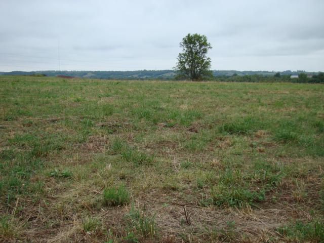 Lot 6 Greenton Road - Photo 1