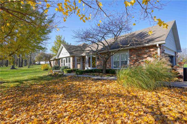 8816 Shrout Road - Photo 1