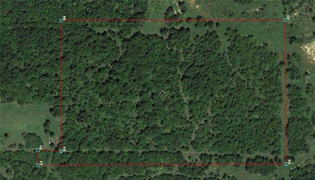 11691 Phillips Road - Photo 1