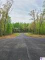175 Shady Oaks Court - Photo 4