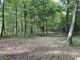 1647 Boone Hollow Road - Photo 4