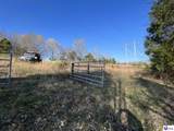 940 Kingswood Orchard Lane - Photo 39