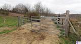 940 Kingswood Orchard Lane - Photo 8