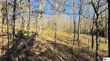 377 Cave Heights Drive - Photo 5