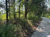 400 Cedar Flat Road - Photo 13