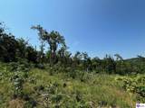 400 Cedar Flat Road - Photo 37