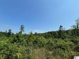 400 Cedar Flat Road - Photo 38