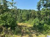 400 Cedar Flat Road - Photo 40