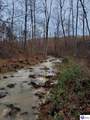 400 Cedar Flat Road - Photo 46