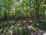 400 Cedar Flat Road - Photo 8