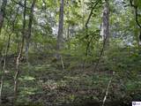 12222 Grayson Springs Road - Photo 12