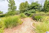 509 Hayden School Road - Photo 74