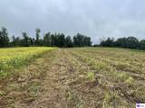 Tract 10 Castleman Road - Photo 1