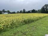 Tract 10 Castleman Road - Photo 12