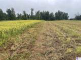 Tract 10 Castleman Road - Photo 2