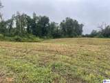 Tract 10 Castleman Road - Photo 3