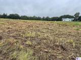 Tract 10 Castleman Road - Photo 4