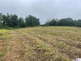 Tract 10 Castleman Road - Photo 6