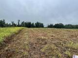 Tract 10 Castleman Road - Photo 7